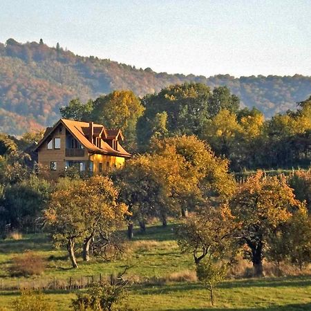 Casa Zollo Leilighet Sălişte Eksteriør bilde