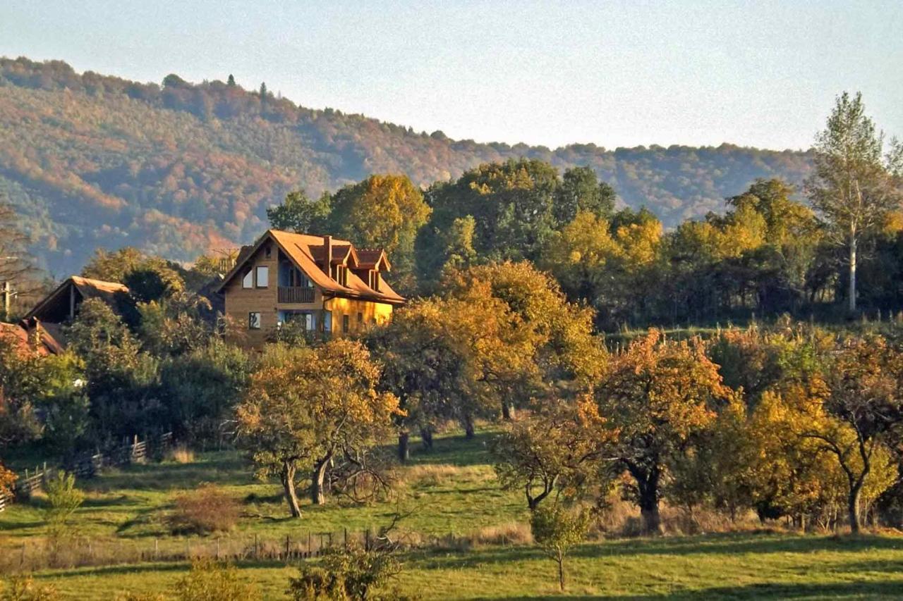 Casa Zollo Leilighet Sălişte Eksteriør bilde