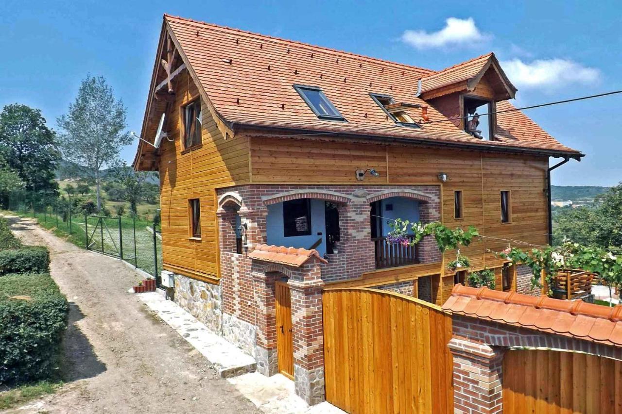 Casa Zollo Leilighet Sălişte Eksteriør bilde