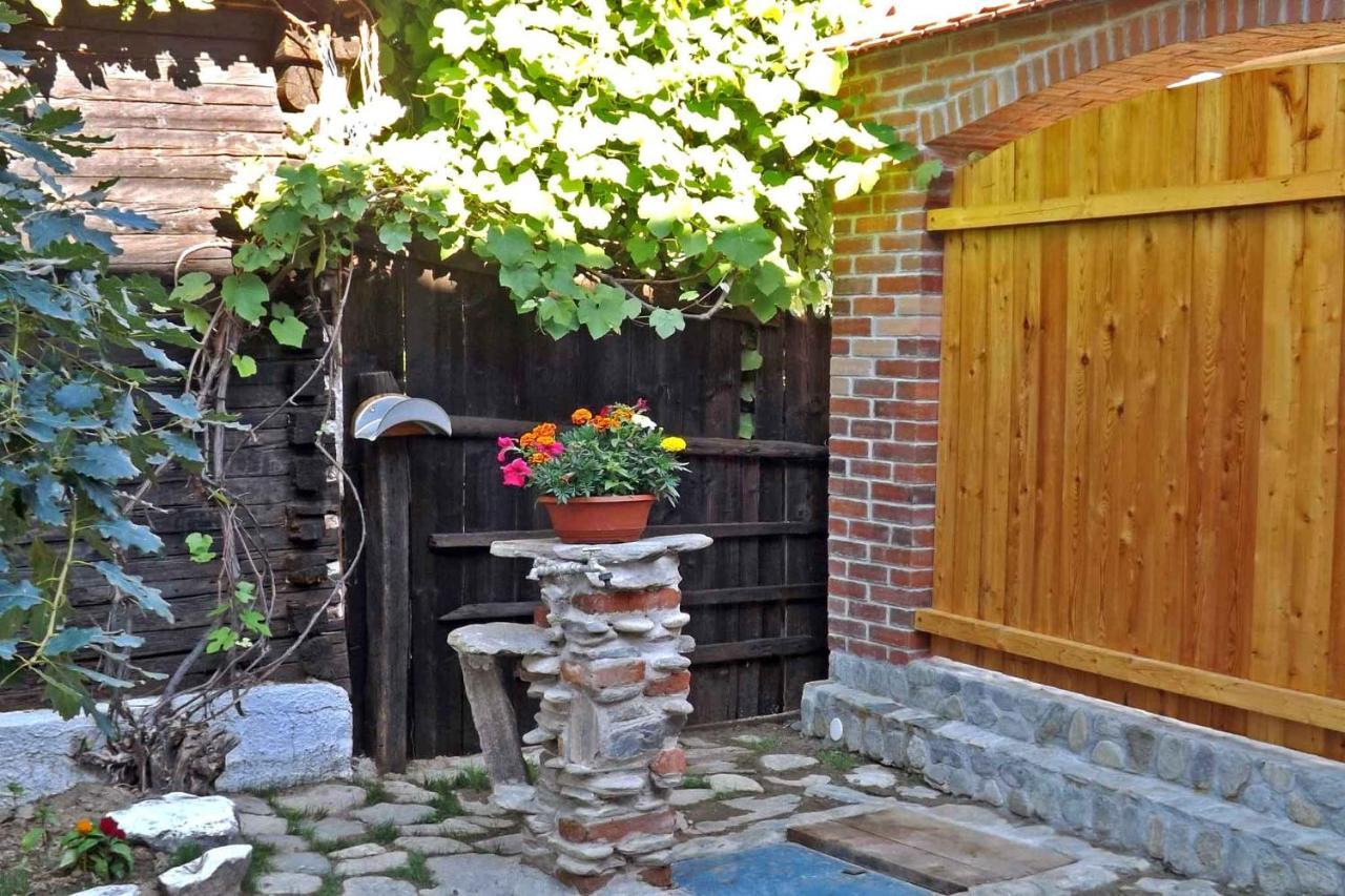 Casa Zollo Leilighet Sălişte Eksteriør bilde