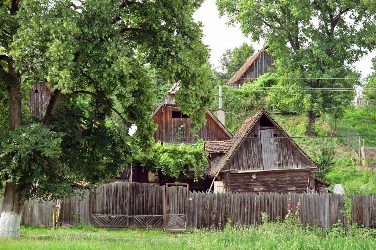 Casa Zollo Leilighet Sălişte Eksteriør bilde