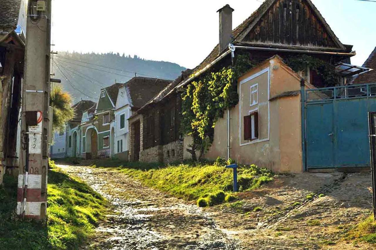 Casa Zollo Leilighet Sălişte Eksteriør bilde