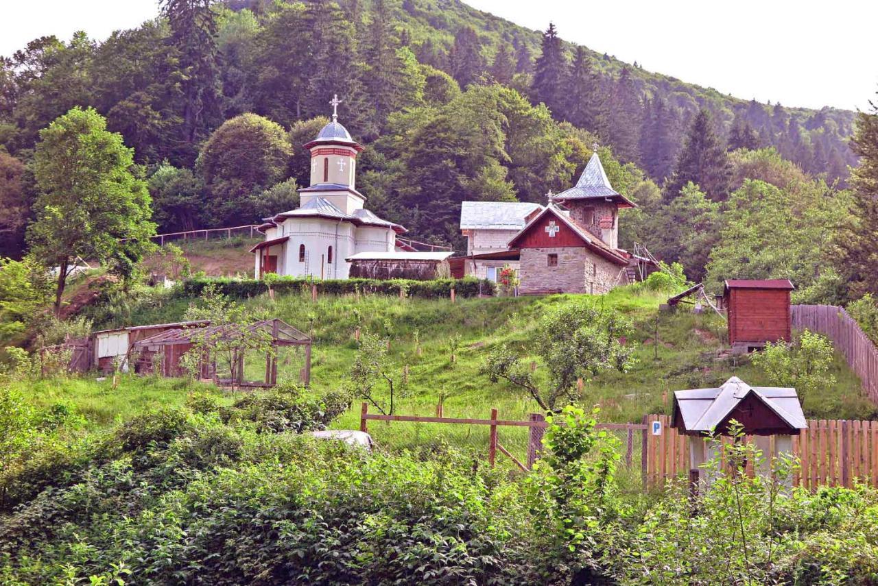Casa Zollo Leilighet Sălişte Eksteriør bilde