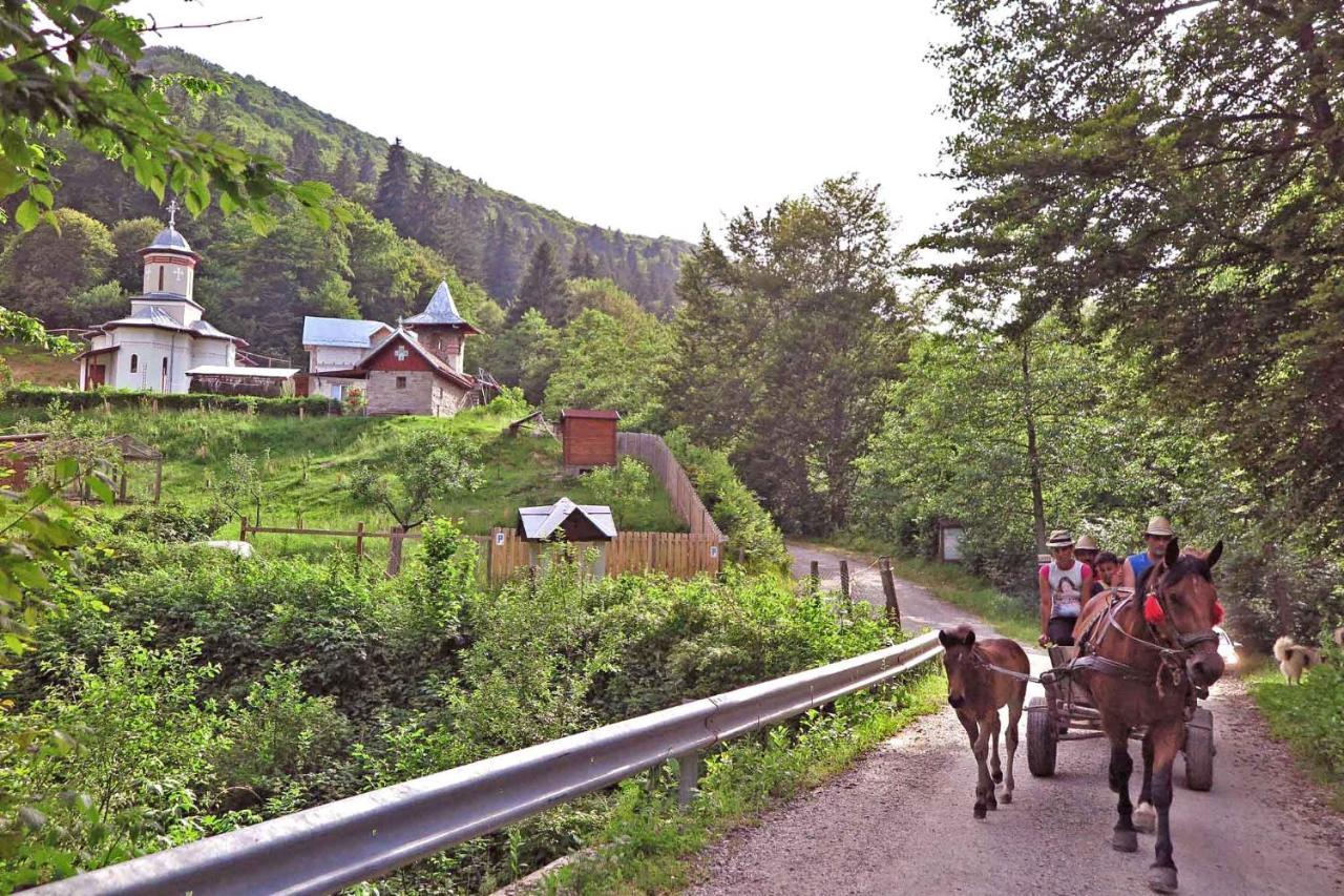 Casa Zollo Leilighet Sălişte Eksteriør bilde