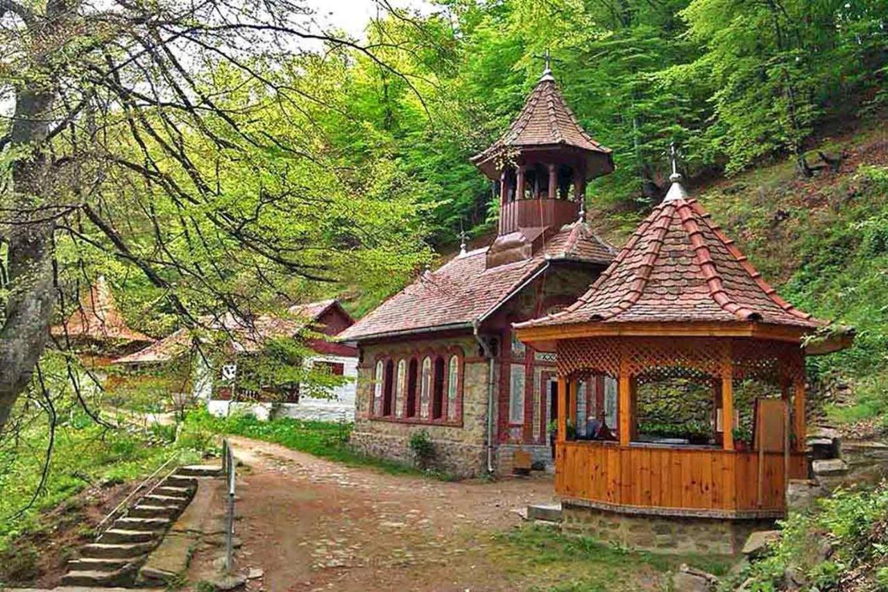 Casa Zollo Leilighet Sălişte Eksteriør bilde