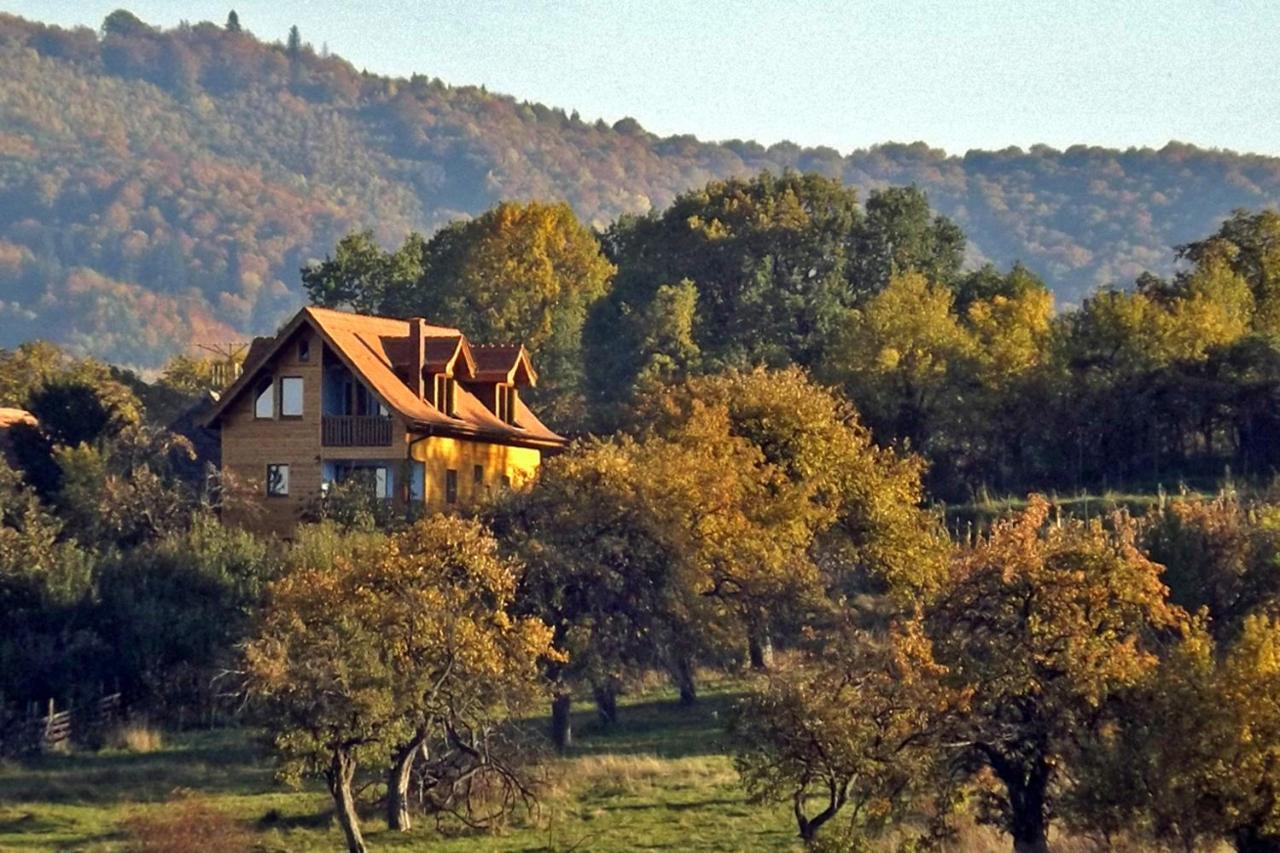 Casa Zollo Leilighet Sălişte Eksteriør bilde